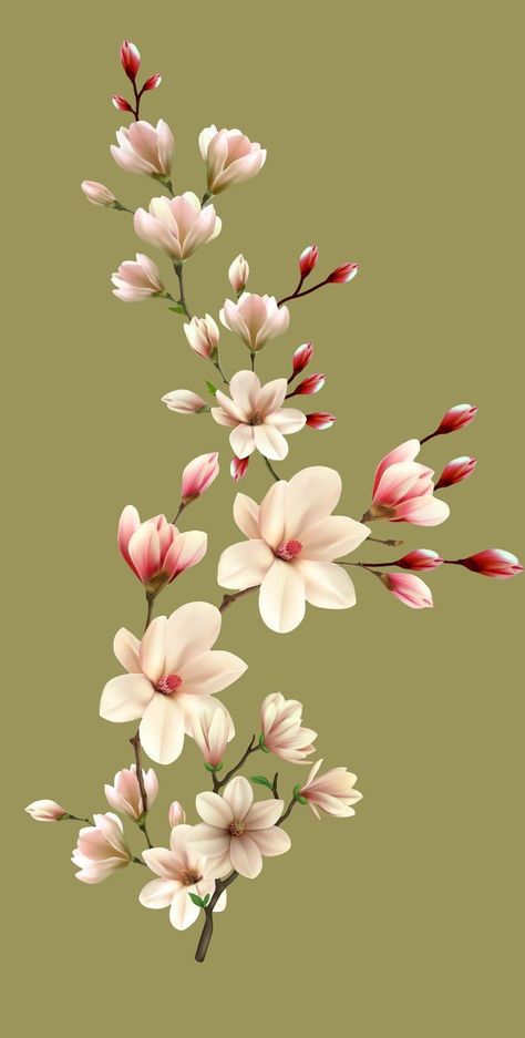 Pink Magnolia Flower, Mustard Background, Beautiful Flower Drawings, Pink Magnolia, Flower Drawings, Wallpaper Flower, Flowers Photography Wallpaper, Flower Art Images, Magnolia Flower