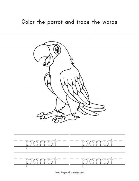 Parrot Worksheet, Worksheet Tk, Sentence Examples, English Education, Toddler Class, English Dictionary, Tropical Animals, Learning Worksheets, Home Daycare