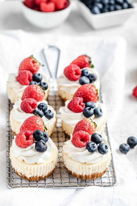 Individual Cheesecake Recipes, Mini Cheesecake Tarts, Easy Mini Cheesecakes, Easy Mini Cheesecake Recipe, Cheesecake With Whipped Cream, Mini Cheesecakes Easy, Cheesecake Bar, Individual Cheesecakes, Mini Cheesecake Recipes