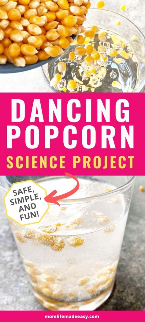 Popcorn Science Project, Dancing Popcorn, Popcorn Science, Science Crafts For Kids, Science Experiments Kids Preschool, Fun Experiments For Kids, Science Experiments Kids Elementary, Science Experiments Kids Easy, Easy Science Projects