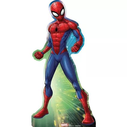 Webbed Wonder Spider-Man Centerpiece Cardboard Cutout, 18in Spiderman Party Supplies, Selfie Station, Animal Ideas, Spiderman Party, Toys Diy, Easel Stand, Halloween Costume Shop, Cardboard Cutout, Spiderman Birthday