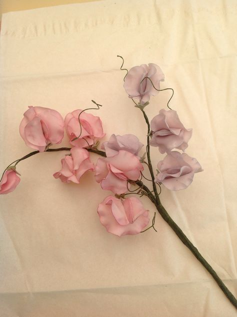 Simple sweet pea flowers Sweet Peas Aesthetic, Pea Vine Tattoo, Sweet Pea Aesthetic, Sweet Pea Flowers Aesthetic, Sweat Peas Flowers, Sweet Pea Vine, Sweet Peas Flowers, Sweetpea Flower, Sweet Pea Bouquet