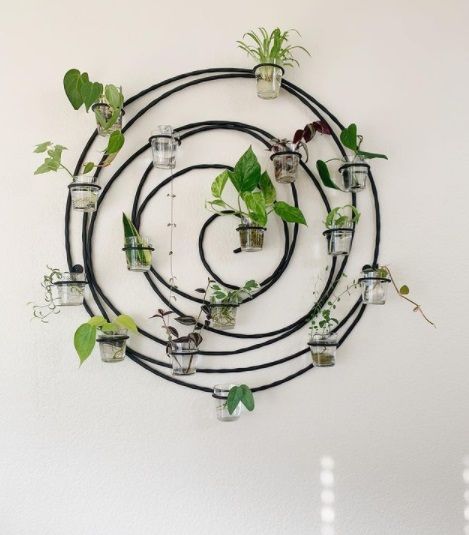 Cute Propagation Ideas, Cool Ways To Display Plants, Diy Plant Storage, Water Propagation Station, Plant Cuttings Display, Diy Plant Propagation Station, Macrame Propagation Station, Propagating Station, Propagation Station Diy