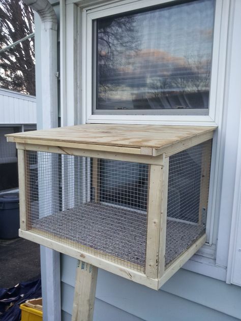 Window Box For Cats, Diy Cat Window Box Ideas, Cat Window Perch Outdoor, Window Catio, Diy Cat Enclosure, Feral Cat House, Cat Enclosures, Cat Window Perch, Cat Patio