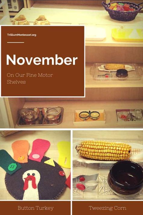 November Fine Motor Montessori Shelves Montessori November Ideas, November Practical Life Montessori, November Montessori, November Preschool Themes, November Preschool Activities, Montessori Jobs, Sensory Projects, Preschool November, November Preschool