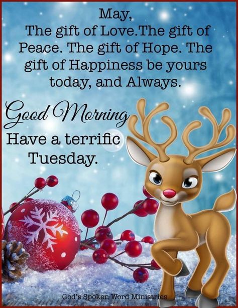 Good Morning Tuesday Christmas Images, Good Morning Tuesday Christmas Season, Tuesday December Quotes, Happy Tuesday Christmas Images, Christmas Blessings Quotes Sayings, Pray For Patience, December Tuesday, Tuesday Morning Wishes, Christmas Morning Quotes