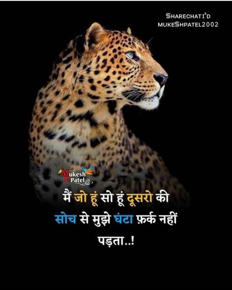 Life Quets, Lion Attitude, Motivation Thought, General Knowledge For Kids, Amish Books, Attitude Motivation, Friendship Quotes In Hindi, Attitude Boy, Huawei Wallpapers