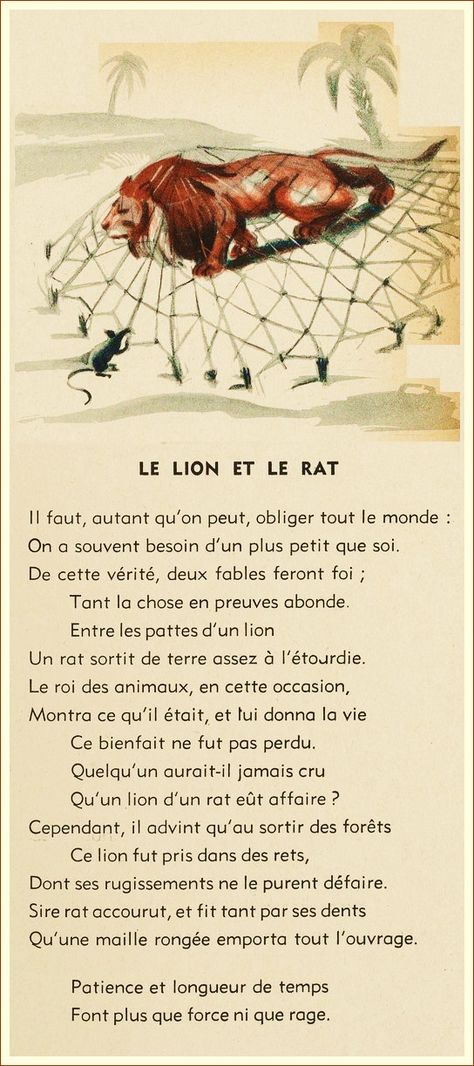 Le lion et le rat | Jean de la Fontaine French Language Basics, Funny Lion, Lion Illustration, French Language Lessons, Aesops Fables, Writing Poems, Language Lessons, French Language, A Poem