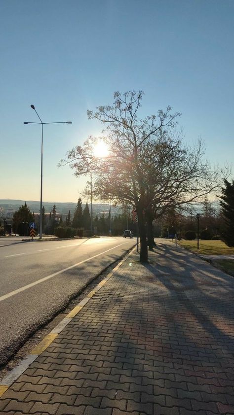 Korean Road Aesthetic, Korean Road, Private Aesthetic, Road Aesthetic, Korea Aesthetic, Fashion Airport, Background Images Free Download, Story Ideas Pictures, University Life