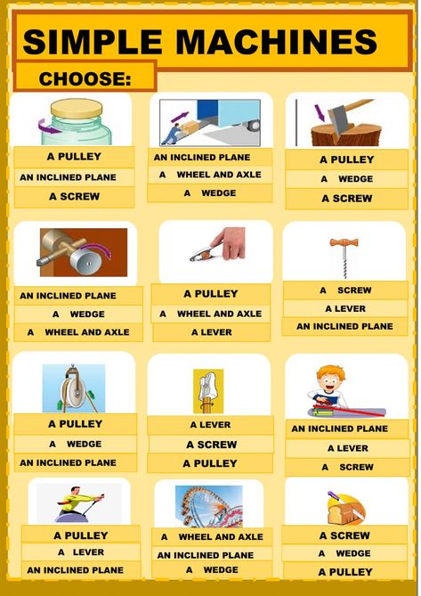 Excretory System, Energy Forms, Simple Machine, Work Sheet, Exam Review, Natural Science, Science Units, Simple Machines, Science Classroom