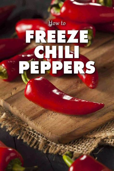 What To Do With Chili Peppers, Freezing Chili, Freeze Peppers, Preserving Peppers, Pepper Harvest, Freezing Peppers, Homemade Curry Powder, Chili Pepper Recipes, Freezing Fruit