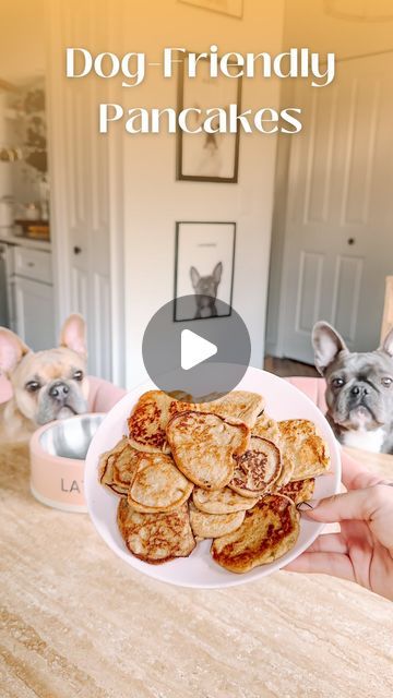 Lavender Bean and Latte Marie on Instagram: "Awhile back we asked you what we should be making with our new skillet and we decided on dog pancakes! 🥞 This is such a simple recipe: ½ cup almond milk (we make our own with no sweeteners or additives ½ tsp of cinnamon 2 cups oats 2 bananas 🥞🥞🥞 #lavenderandlatte #frenchiesofinstagram #dogfriendlyrecipe" Dog Pancakes Recipes, Dog Pancakes, Easy Treats, Simple Recipe, Almond Milk, 2 Cups, Skillet, Dog Treats, Bananas