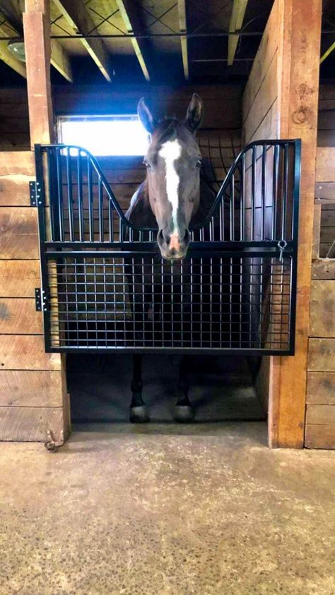 Stall Gates Diy, Horse Stall Gates, Stall Doors For Horses, Diy Stall Doors, Luxury Horse Stalls, Horse Stalls Doors, Gooseneck Lighting, Barn Windows, Luxury Horse