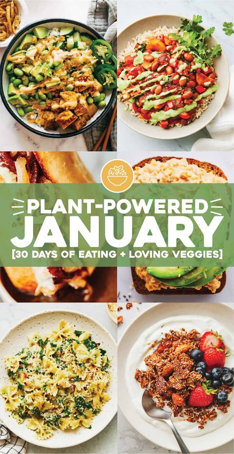 A month of vegetarian eating with delicious, filling, fun, and exciting meatless recipes that are feel-good for the body and feel-good for the earth. #meatless #vegetarian #plantbased Vegetarian Eating, Pinch Of Yum, Vegetarian Meal Plan, Meatless Recipes, Meatless Main Dishes, Meatless Dinner, Vegetarian Main Dishes, Veggie Delight, Vegan Meal Plans