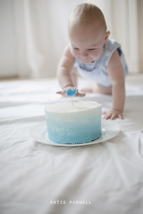 one year cake smash, blue ombre cake, katiepurnell.com Blue And White Smash Cake, Blue Smash Cake Boy, Blue Smash Cake, Cake Smash Blue, Blue Ombre Cake, Levi Birthday, One Year Cake Smash, Looney Tunes Party, One Year Cake