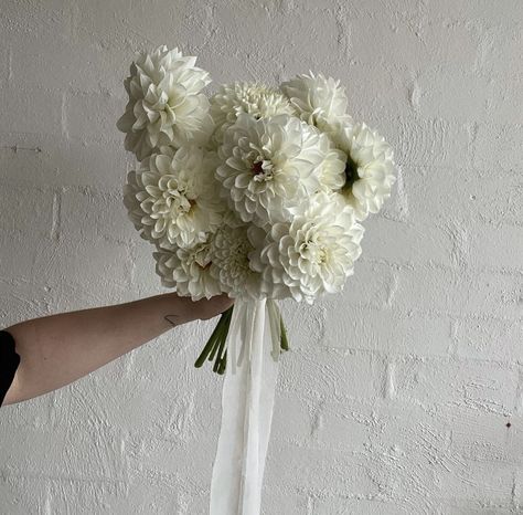 Bride No Bouquet, Minimalistic Bride Bouquet, Single Bloom Wedding Bouquet, March Wedding Bouquets, Minimalistic Wedding Bouquet, Single Flower Bridesmaid, Tiny White Flowers Bouquet, Monochrome Bouquet, Minimal Bouquet