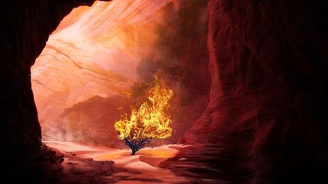 The Burning Bush, Evan Woolery on ArtStation at https://www.artstation.com/artwork/m8KLe Burning Bush Art, Burning Bush Tattoo, Fire Bible, The Burning Bush, Biblical Tattoos, Social Media Church, Presentation Techniques, Christian Illustration, Tattoo Concepts