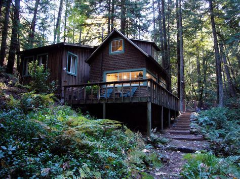 A Cabin In The Woods, Cottage Exterior, Getaway Cabins, Travel Hotel, A Cabin, Tiny House Cabin, Cabin In The Woods, Cabins And Cottages, Cabin Design