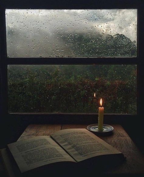 Paradis Sombre, Green Academia, Dark Naturalism, Dark Acadamia, An Open Book, Rain Wallpapers, Hogwarts Aesthetic, Slytherin Aesthetic, Dark Paradise