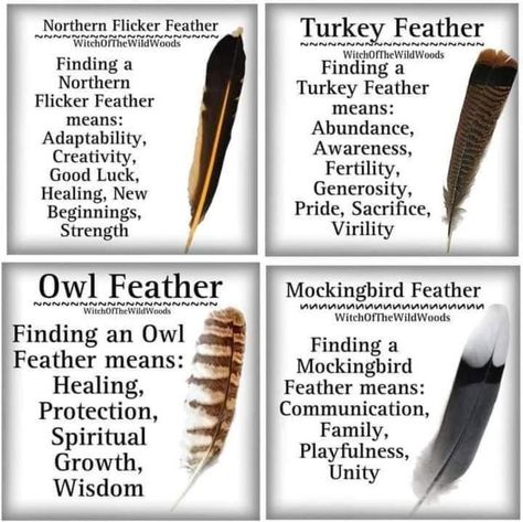 Wand N Cauldron Turkey Feather Meaning, Feather Witchcraft, Black Feather Meaning, Divination Techniques, Feather Color Meaning, Diy Feathers, Feather Identification, Feather Magic, Witchy Items