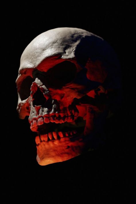 Skull With Open Mouth, Skulls Photography, Skull Side Profile, Skulls Aesthetic, Human Skull Photography, Realistic Tattoo Ideas, Fallout Tattoo, Skull Pics, Fallen Angel Tattoo