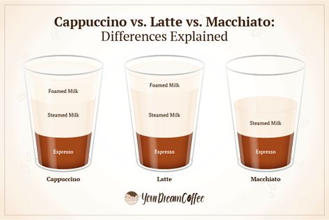 Cappuccino vs. Latte vs. Macchiato: Differences Explained Coffee Watercolor, Vanilla Sauce, Popular Drinks, Milk Foam, Flavored Syrup, Milk Alternatives, Coffee Drink Recipes, Coffee Uses, Iced Latte