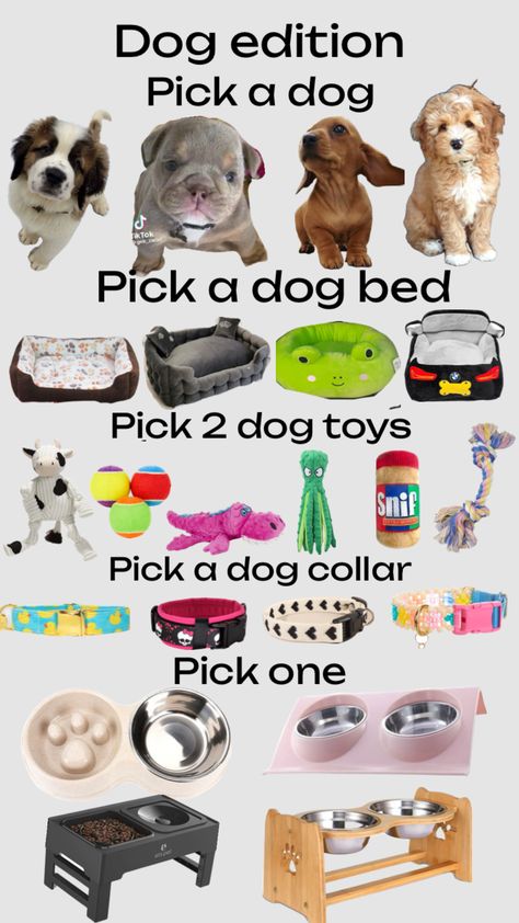 Dog edition #dogs #puppies #ilovedogs #cute Dog Supplies List, Puppy Items, Puppy Checklist, Pet Treats Recipes, Puppy Room, Preppy Dog, Hello Kitty Phone Case, Puppy Mom, Puppy Accessories