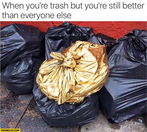 when you're trash but still better | When you’re trash, but you’re still better than everyone else ... Nikki Sixx, Humor Grafico, Yoga Sequences, Women Humor, On The Ground, Funny Pins, Bones Funny, Funny Posts, Everyone Else