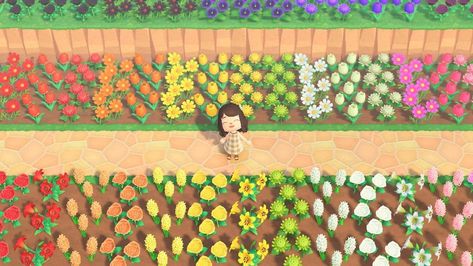 Rainbow Flower, New Animal Crossing, Animal Crossing Game, Animal Crossing Qr, Animal Games, Farm Gardens, Rainbow Flowers, Flower Images, Flower Field