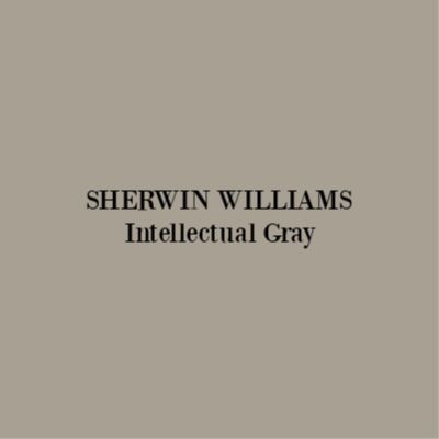 Sherwin Williams Intellectual Gray paint color. #sherwinwilliams #intellectualgray #paintcolors Intellectual Grey Exterior, Sw Intellectual Gray Exterior, Sherwin Williams Intellectual Gray Exterior, Intellectual Gray Exterior House, Intellectual Gray Sherwin Williams Exterior, Intellectual Gray Exterior, Sw Intellectual Gray, Intellectual Gray Sherwin Williams, Sherwin Williams Intellectual Gray