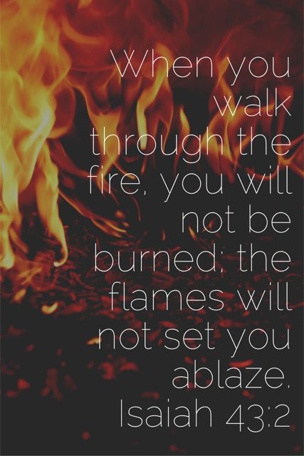 Then Nebuchadnezzar was furious with Shadrach, Meshach, and Abednego, and his attitude toward them changed. He ordered the furnace heated seven times hotter than usual and commanded some of … Fire Department Quotes, Shadrach Meshach And Abednego Quotes, Fireman Quotes Inspiration, Fire Fighter Quotes, Firefighters Quotes, Firemen Quotes, Fire Bible, Shadrach Meshach And Abednego, Fighter Quotes