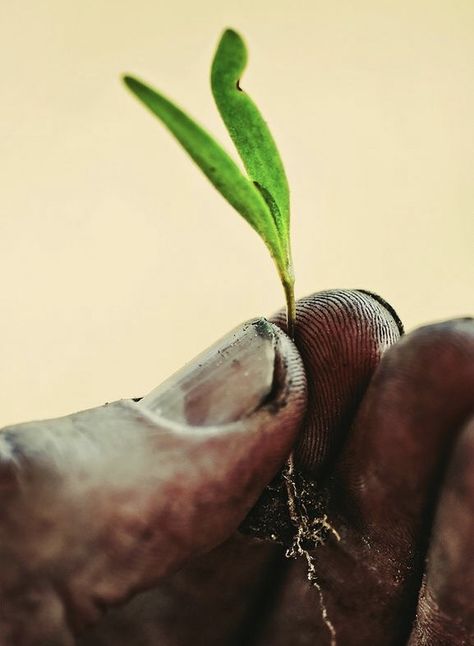 Love at first sight Neville Aesthetic, Agriculture Photography, Prairie Landscape, Hand Photography, Farm Photography, Photo Food, Farm Photo, Foto Art, Pure Beauty