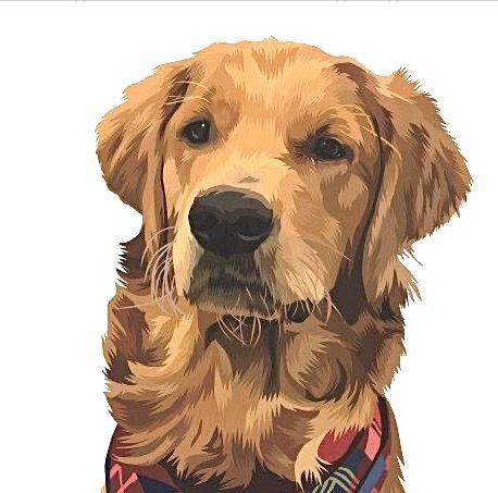 Golden Retriever Cartoon, Golden Retriever Drawing, Golden Retriever Art, Cute Dog Wallpaper, Dog Cafe, Animal Portraits Art, Portraits Art, Dog Painting, Animal Portraits