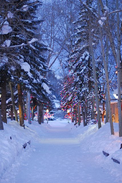 Christmas - Aspen Mall Path www.PowerHouseGrowers.com @Powerhouse Growers | Urban Agriculture | Urban Design | Healthy Cities | Winter Schnee, Winter Szenen, I Love Winter, Aspen Colorado, Winter Love, Winter Magic, Winter Scenery, Winter Beauty, Snow Scenes