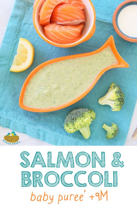 Broccoli Salmon Lemon baby puree +9M. A brain boosting recipe full of flavors and nutrients. If serving to toddlers or if you follow the BLW method, skip the immersion blender and add more texture by mixing with rice or quinoa. Salmon Puree, Salmon Puree For Baby, Breakfast Puree Recipes, Baby Salmon Recipe, Salmon Baby Food Recipes, Broccoli Puree, Broccoli Lemon, Easy Homemade Baby Food, Salmon And Broccoli