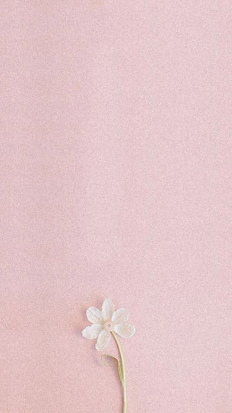 Light Pastel Pink Aesthetic, Iphone Wallpaper Aesthetic Light Pink, Light Pink Phone Background, Sand Pink Wallpaper Iphone, Light Pink Background Aesthetic Iphone, Light Pink Spring Wallpaper, Light Pink Astetic Wallpaper, Phone Backgrounds Aesthetic Pink, Pastel Pink Wallpaper Hd