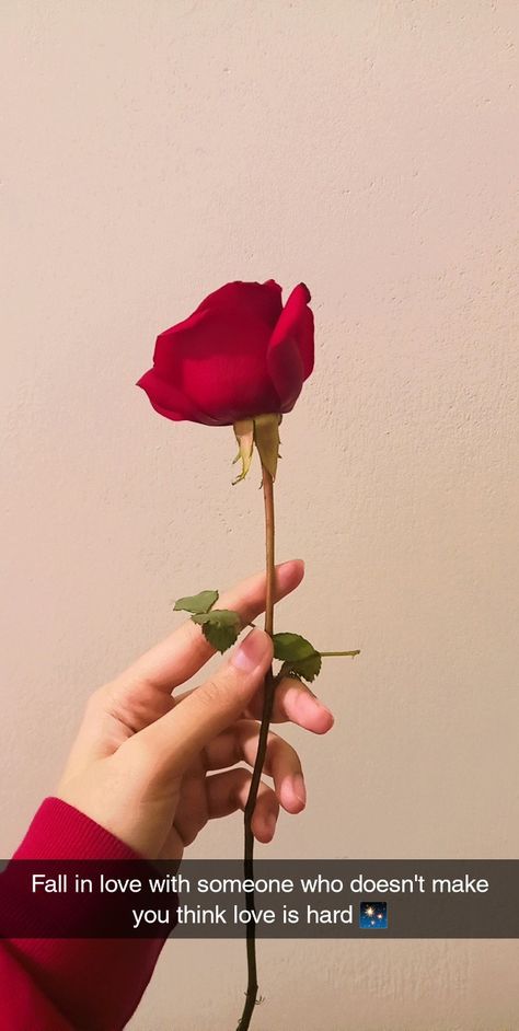 Rose Day Story Ideas, Love Quotes About Roses, Pics With Roses Aesthetic, Roses Love Quotes, Red Roses Instagram Story, Rose Day Instagram Story, Fake Love Snapchat Story, Red Rose Quotes Love, Red Roses Snapchat