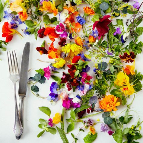 Edible Flower Salad, Vision Board Apartment, Micro Flowers, Eatable Flowers, Culinary Garden, Eating Flowers, Edible Flower Garden, Soup For Lunch, Micro Herbs