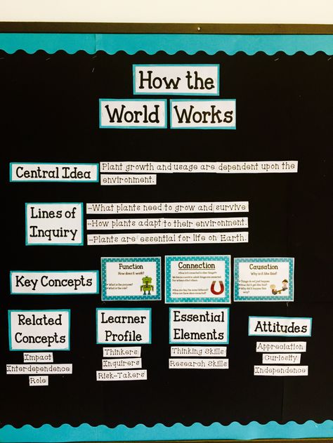 Unit Of Inquiry Bulletin Board, Pyp Bulletin Board Ideas, Ib Bulletin Board Ideas, How The World Works Pyp, Ib Classroom Decoration Ideas, Pyp Classroom Setup, Ib Bulletin Boards, Inquiry Based Learning Kindergarten, Inquiry Cycle