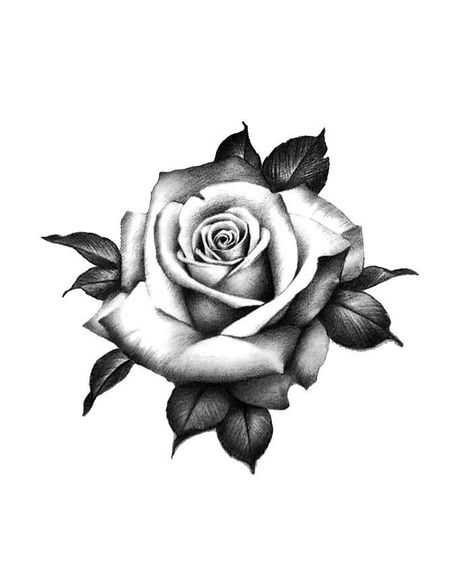 Heart Rose Tattoo Design, Rose Tattoo Men Design, Men’s Rose Tattoo, Roses Tattoo Stencil, Rose Bush Tattoo, Tattoos For Ed, Rose Tattoo For Men, Rose Tattoo Men, Chicano Drawing