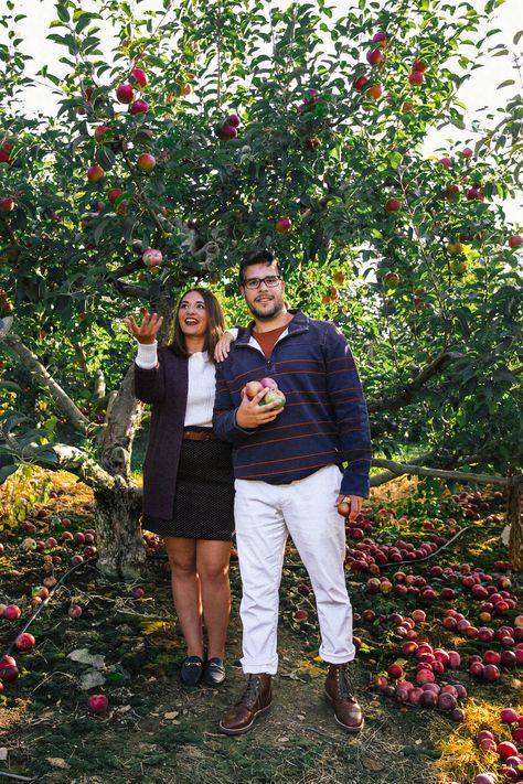 Cute Apple Orchard Outfits, Cute Apple Picking Outfits, Fall Connecticut, Apple Picking Photoshoot, Cape Cod Fall, Fall Massachusetts, Nantucket Fall, Apple Picking Photos, Connecticut Fall