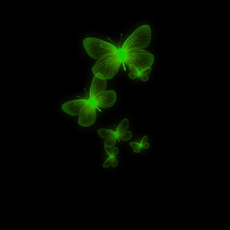 Dark Green Butterfly, Butterfly Widget, Green Aura, Butterfly Background, Simple Mehndi, Green Butterfly, Star Butterfly, Green Aesthetic, Neon Green