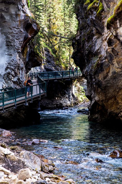 Banff is filled with remarkable trails. The hike into the depths of Johnston Canyon was constructed out of iron and fixed to the rock, allowing a unique view of the rushing waters below. Unfortunately, not every trail has a charming backstory. The very first paths and bridges along Johnston Canyon were built by Hungarian internment camp prisoners from WW1. Rock Architecture, Johnston Canyon, Canon 5d, Human History, Back In Time, The Rock, Rocky, Hiking, Camping