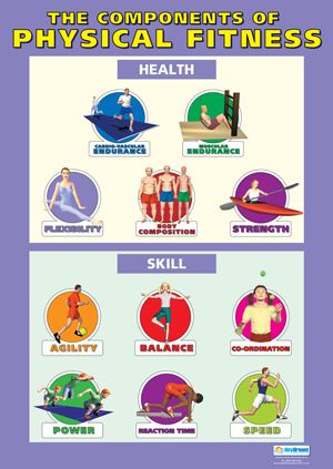 Components Of Fitness, Fitness Posters, Fitness Poster, Elementary Physical Education, Physical Education Lessons, Elementary Pe, Pe Ideas, Health And Physical Education, Physical Education Activities