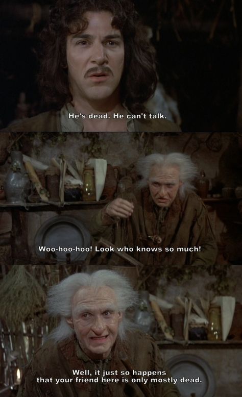 "Your friend here is only mostly dead." (The Princess Bride) -There's a difference between 'fully' dead and 'mostly' dead Miracle Max, Princess Bride Quotes, Inigo Montoya, Ella Enchanted, Best Movie Quotes, Billy Crystal, The Princess Bride, Woo Hoo, Loose Change