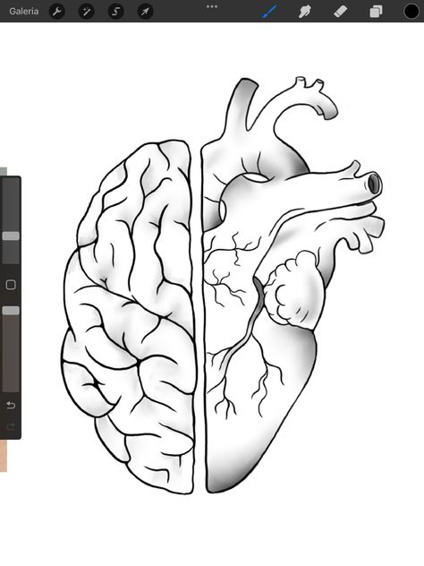 Half Heart Half Brain Drawing, How To Draw A Real Heart, Doctor Sketch Medical, Half Heart Drawing, Heart And Brain Drawing, Human Brain Sketch, Half Heart Half Brain Tattoo, How To Draw A Brain, Brain And Heart Drawing