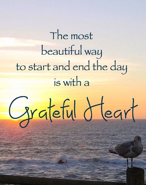 Choose to Be Thankful with these Grateful Heart Quotes - EnkiVillage Blessed Quotes Thankful, Grateful Heart Quotes, Good Heart Quotes, Grateful Quotes, Thankful Quotes, Feeling Thankful, Blessed Quotes, Motiverende Quotes, Short Inspirational Quotes