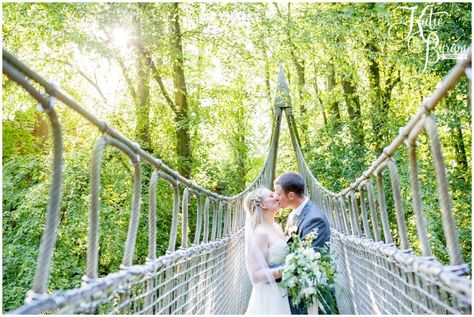 Alnwick Treehouse Wedding, Crooked Willow Farms Wedding, Inn At Willow Grove Wedding, Norfolk Botanical Garden Wedding, Wedding Venues Outdoor Willow Tree, Alnwick Treehouse, Treehouse Wedding, Young Wedding, Evening Wedding