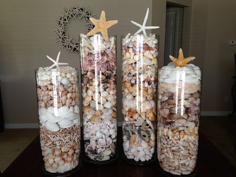 Florida Seashell Display More Seashell Collection Display Ideas, See Shells Ideas, Seashell Organization, Sand And Shell Display Ideas, Scoici Ideas, Seashell Keepsake Ideas, Shell Display Ideas, Seashell Display Ideas, Sea Shell Display Ideas