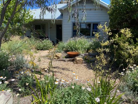 How to create a native garden that birds and people will love Native Plant Landscape, Australian Garden Design, Australian Native Garden, Front Gardens, Front Garden Design, Australian Plants, Australian Garden, Australian Native Plants, Design A Space